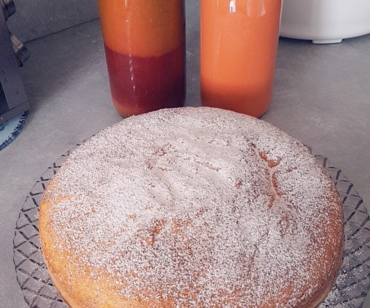 Cliquez pour zoomer ! Gâteau à l’orange Thermomix par ChatMo