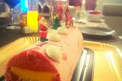 Cliquez pour zoomer ! Bûche glacée mangue et framboise Thermomix par stefgaga