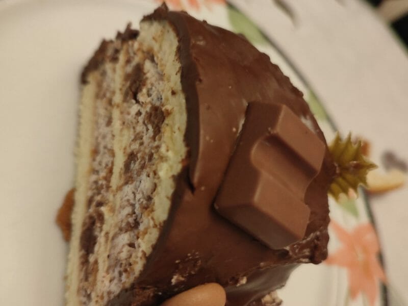 Cliquez pour zoomer ! Bûche Ferrero Rocher Thermomix par stefgaga