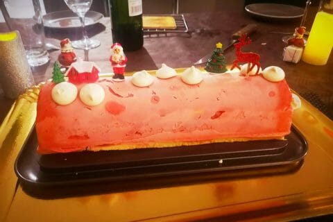 Cliquez pour zoomer ! Bûche glacée mangue et framboise Thermomix par stefgaga