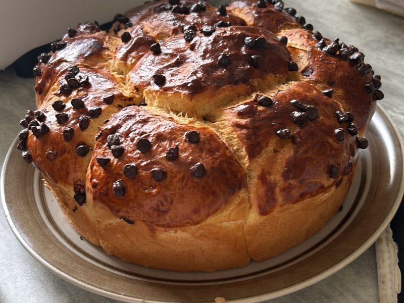 Cliquez pour zoomer ! Brioche Buchty Thermomix par lolotte56