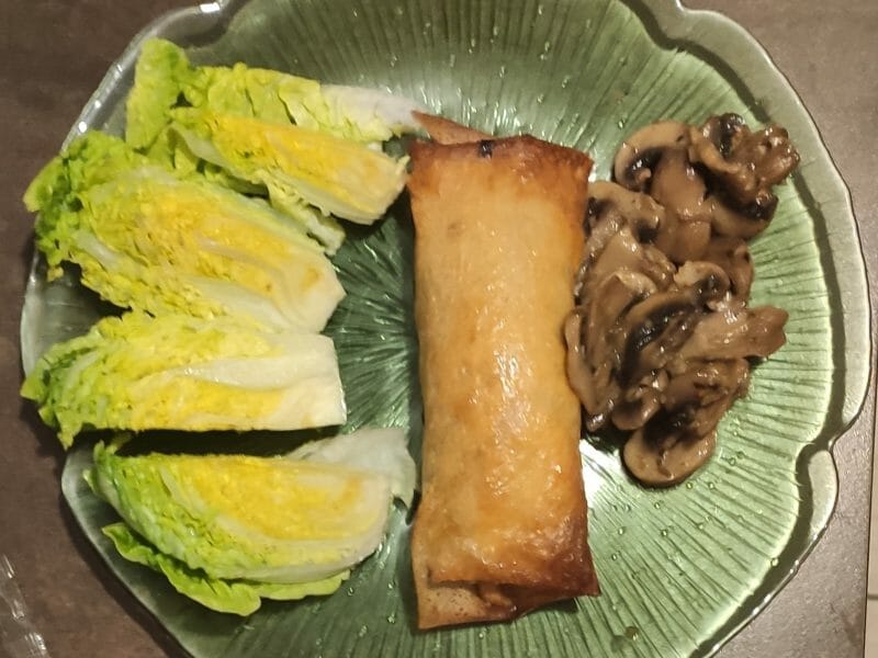 Cliquez pour zoomer ! Brick de saumon et poireaux Thermomix par Kikoo34440