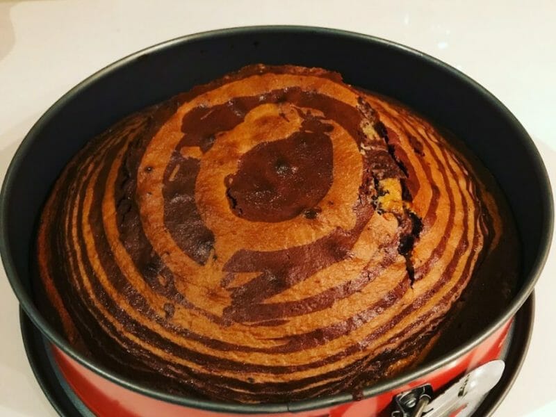 Cliquez pour zoomer ! Gâteau zébré Thermomix par Shumy