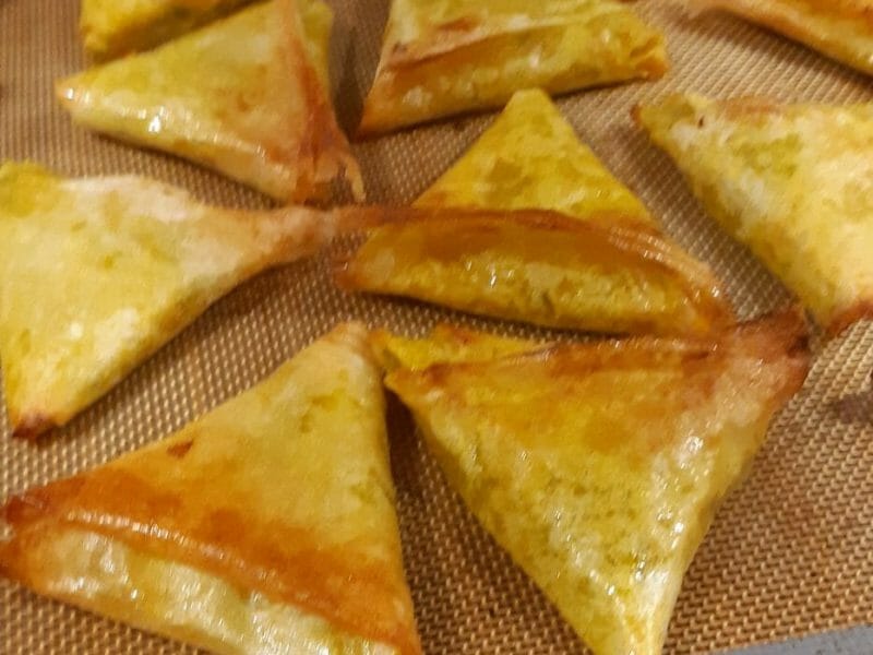 Cliquez pour zoomer ! Samoussas de légumes Thermomix par Mathieu_Virginie