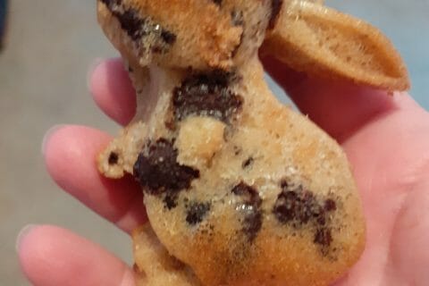 Cliquez pour zoomer ! Photo de audrey_4384