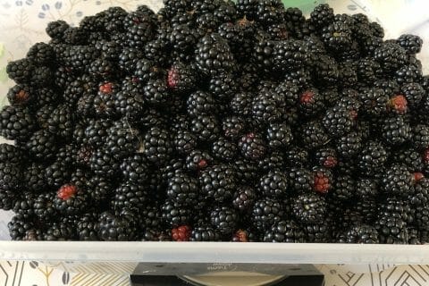 Cliquez pour zoomer ! Confiture de mûres Thermomix par miasachagab