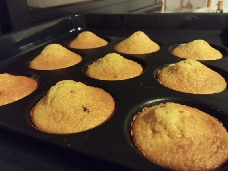 Cliquez pour zoomer ! Muffins aux pépites de chocolat Thermomix par patou33160