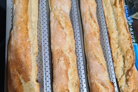 Cliquez pour zoomer ! Photo de lanceclem