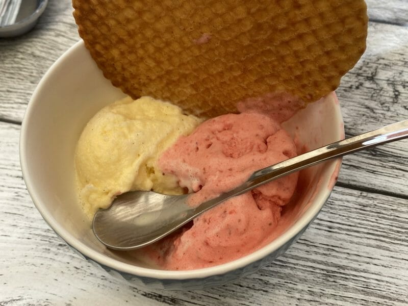 de glace au Thermomix Cookomix