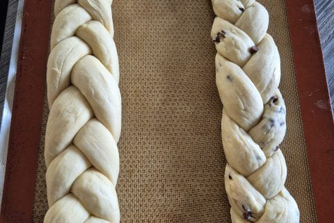 Cliquez pour zoomer ! Photo de titia49680