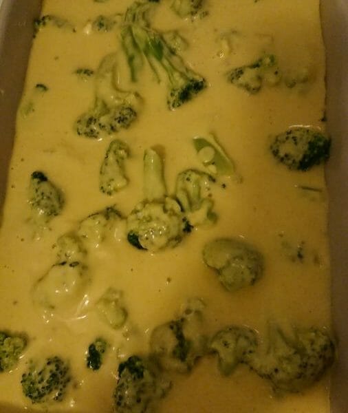 Cliquez pour zoomer ! Gratin de poulet et brocolis Thermomix par Julie-Alexis