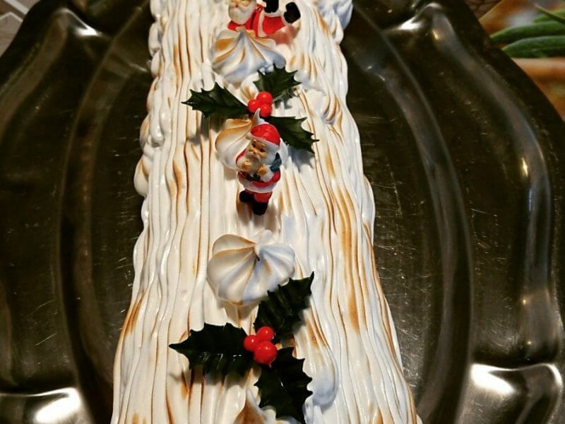 Cliquez pour zoomer ! Bûche au citron meringuée Thermomix par Julie-Alexis