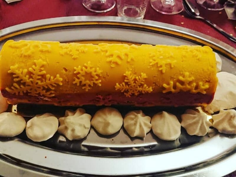 Cliquez pour zoomer ! Bûche glacée mangue et framboise Thermomix par Julie-Alexis