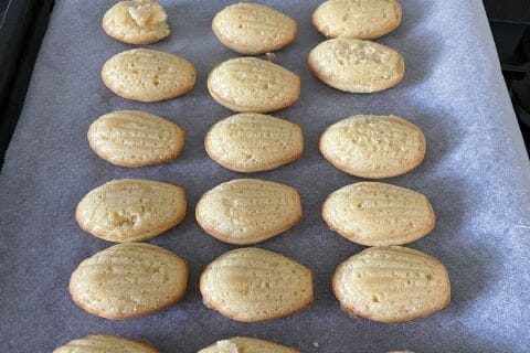 Cliquez pour zoomer ! Photo de alexsiou3