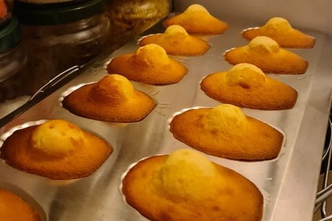Cliquez pour zoomer ! Madeleines Thermomix par rose des sables