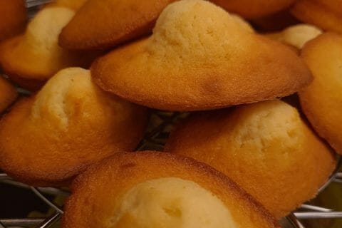 Cliquez pour zoomer ! Madeleines Thermomix par rose des sables