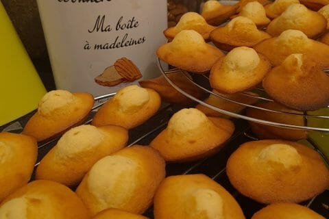 Cliquez pour zoomer ! Madeleines Thermomix par rose des sables
