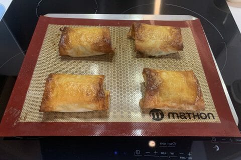 Cliquez pour zoomer ! Brick de saumon et poireaux Thermomix par cricridu10