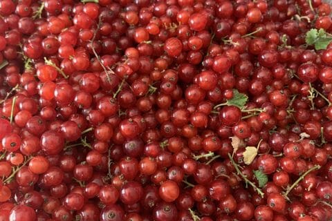 Cliquez pour zoomer ! Gelée de groseilles Thermomix par cricridu10