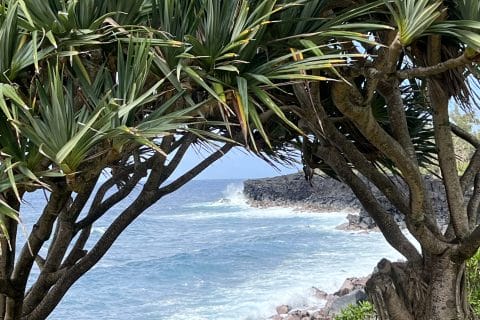 Cliquez pour zoomer ! Dinde massalé coco Thermomix par cricridu10