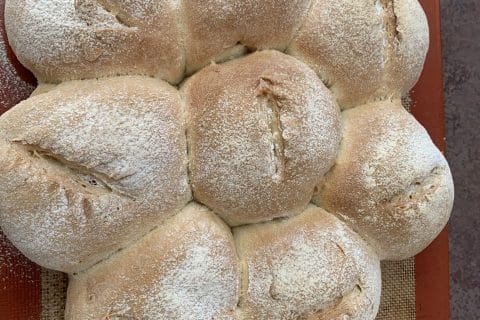 Photos des recettes