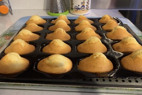 Cliquez pour zoomer ! Madeleines Thermomix par cricridu10