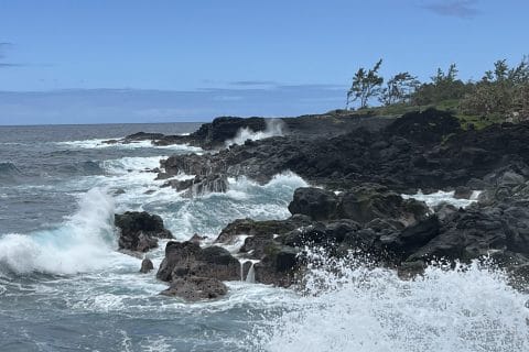 Cliquez pour zoomer ! Dinde massalé coco Thermomix par cricridu10