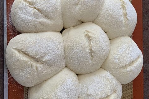 Photos des recettes