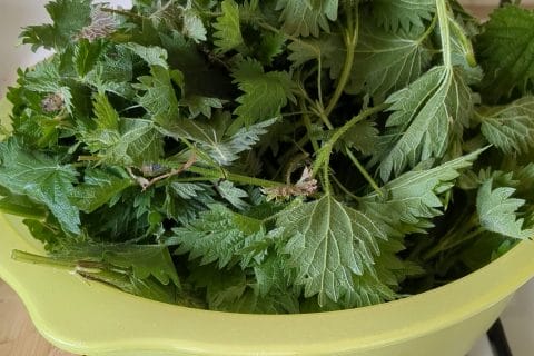 Cliquez pour zoomer ! Soupe d’orties Thermomix par elenajalan