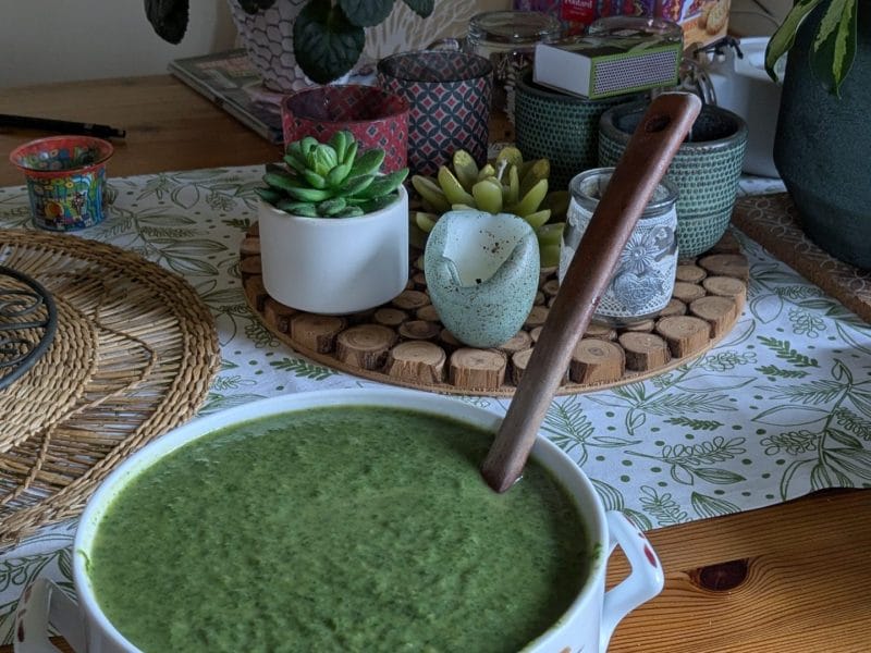 Cliquez pour zoomer ! Soupe d’orties Thermomix par elenajalan