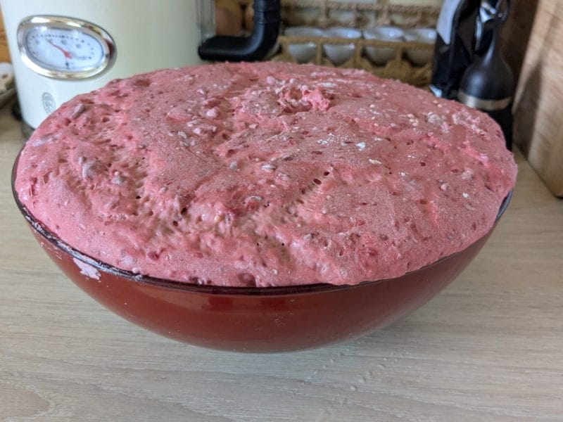 Cliquez pour zoomer ! Pain à la betterave Thermomix par elenajalan