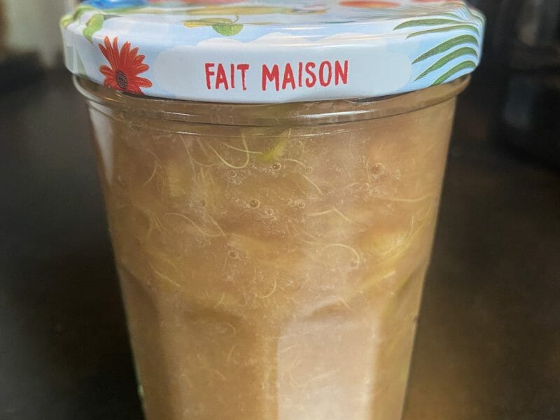 Compote de rhubarbe au Thermomix Cookomix