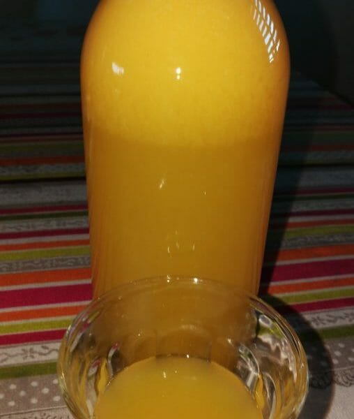 Cliquez pour zoomer ! Jus de fruits ACE Thermomix par Sand06