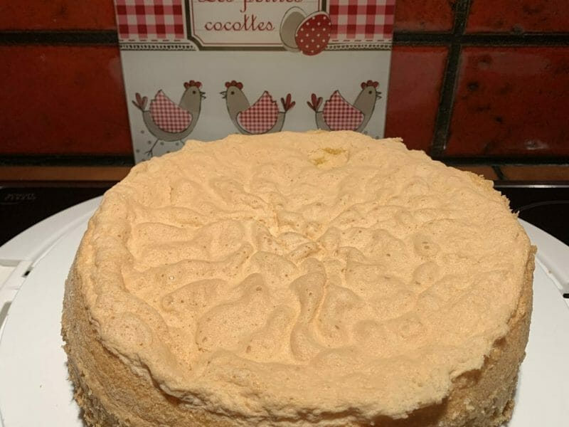 Cliquez pour zoomer ! Gâteau de savoie Thermomix par Tante Airie