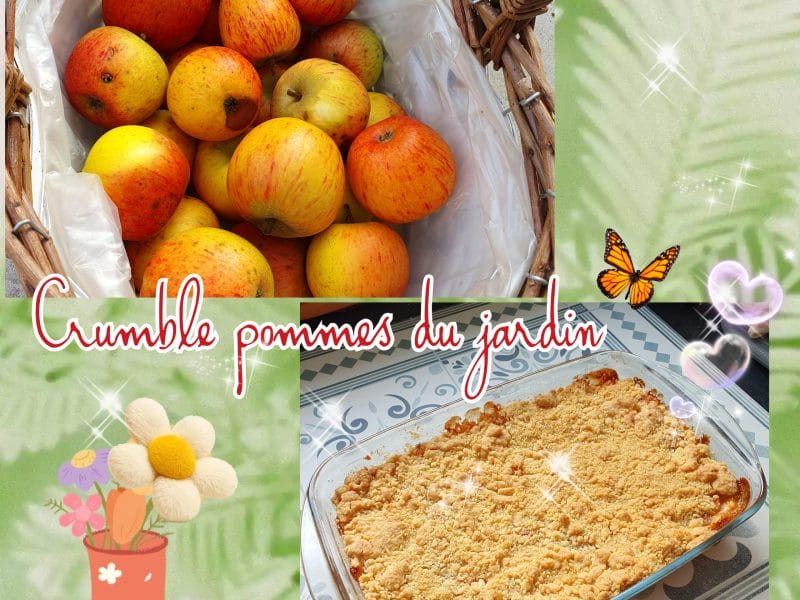 Cliquez pour zoomer ! Crumble aux Pommes Thermomix par morgane_cook