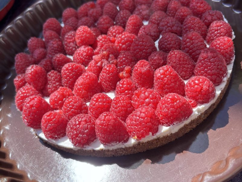 Cliquez pour zoomer ! Tarte aux fraises sans cuisson Thermomix par melanie2022