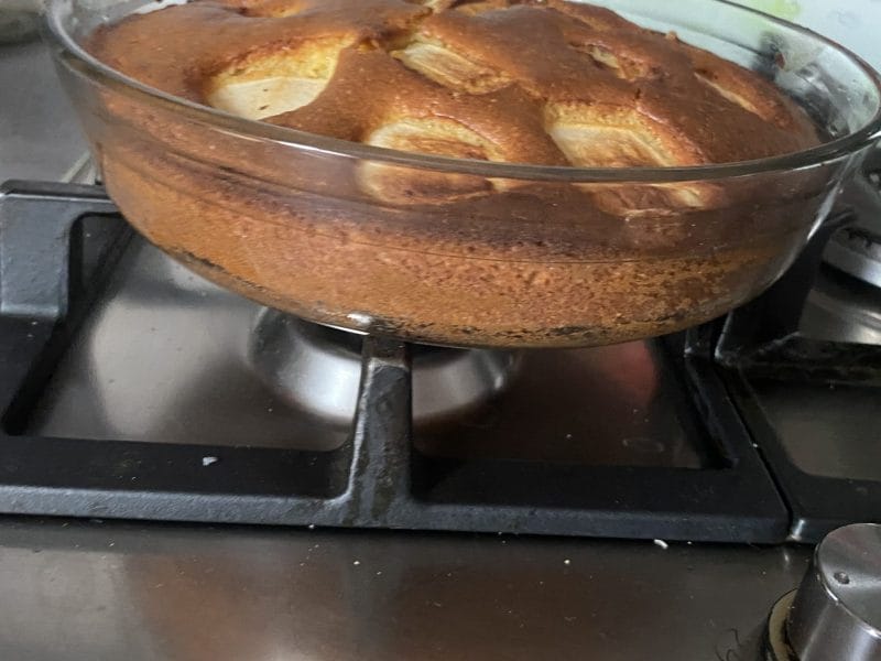 Cliquez pour zoomer ! Gâteau moelleux aux abricots Thermomix par idanes92