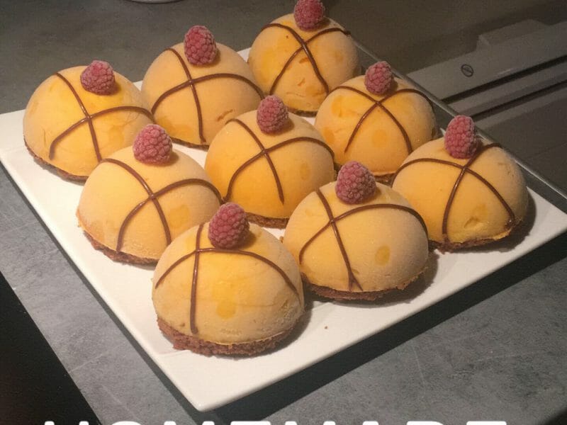 Cliquez pour zoomer ! Bûche glacée mangue et framboise Thermomix par MelElina