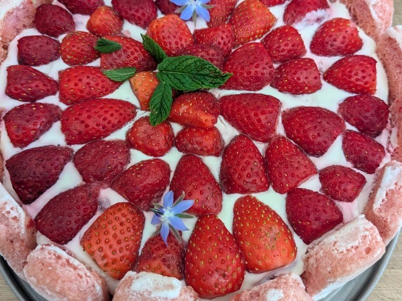 Cliquez pour zoomer ! Délices fraises et chocolat blanc Thermomix par lea_522