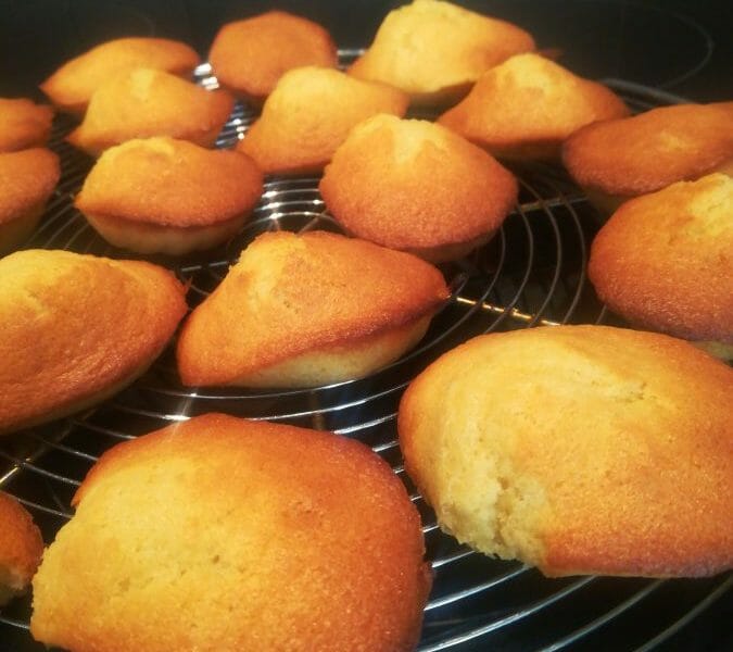Cliquez pour zoomer ! Madeleines Thermomix par Kokliko