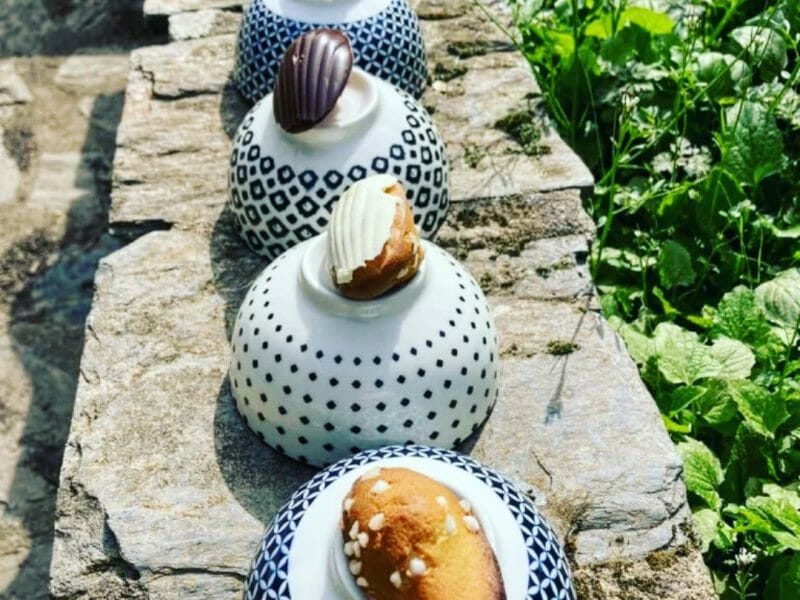 Cliquez pour zoomer ! Madeleines Thermomix par Thermo-Gourmandise