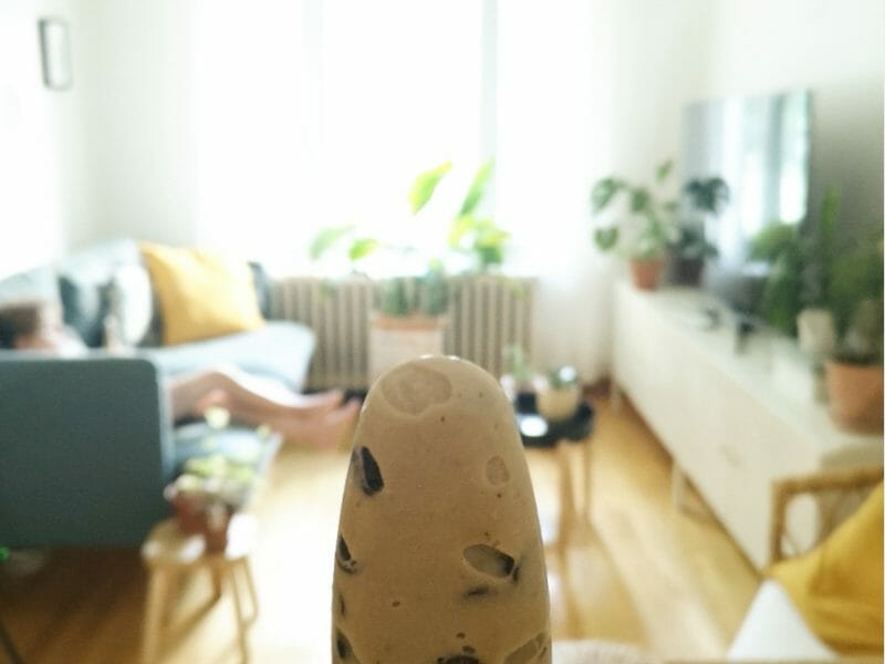 Cliquez pour zoomer ! Glace menthe-chocolat Thermomix par AudreyMtl