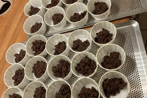 Cliquez pour zoomer ! Photo de eloje