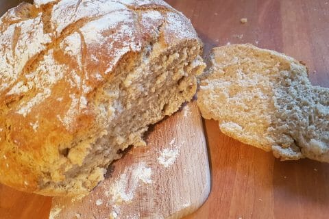 Cliquez pour zoomer ! Photo de eloje