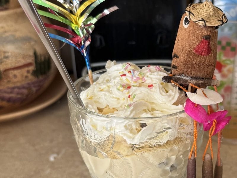 Cliquez pour zoomer ! Glace rhum raisins Thermomix par coco83720