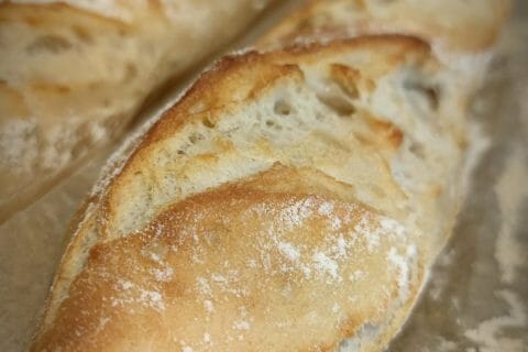 Cliquez pour zoomer ! Photo de charlotte_97470