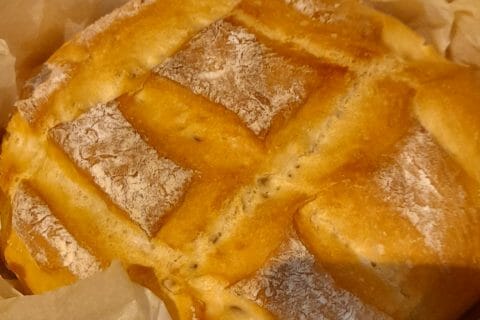 Cliquez pour zoomer ! Photo de kahicha