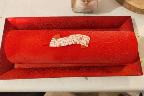 Cliquez pour zoomer ! Bûche glacée mangue et framboise Thermomix par Cindy Riccobono