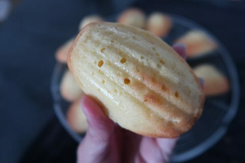 Cliquez pour zoomer ! Madeleines au Thermomix
