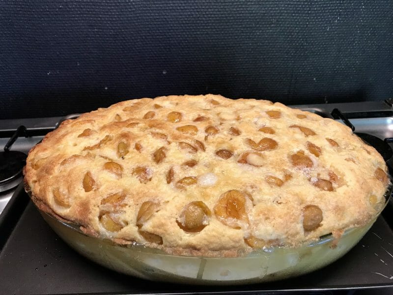 Cliquez pour zoomer ! Clafoutis aux mirabelles Thermomix par cathy_253